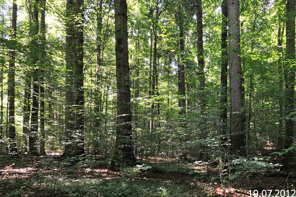 P_394_20120710