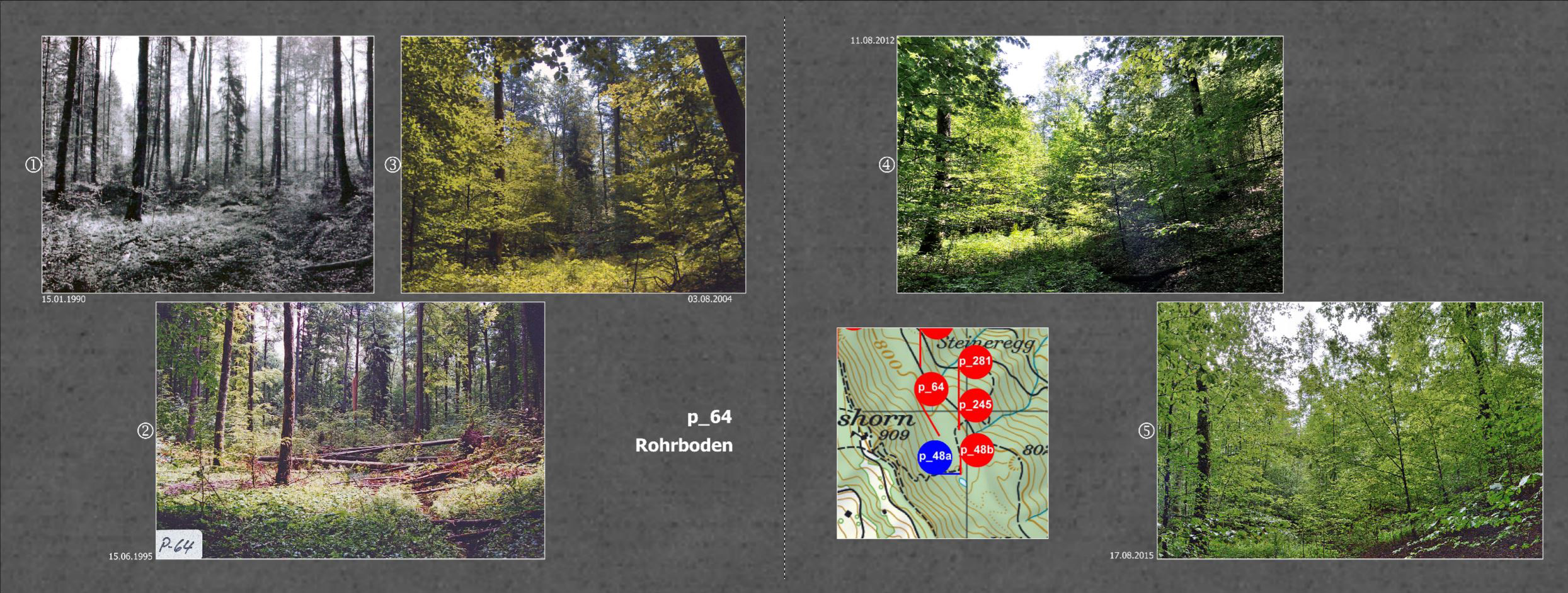 013_Seite_24_25