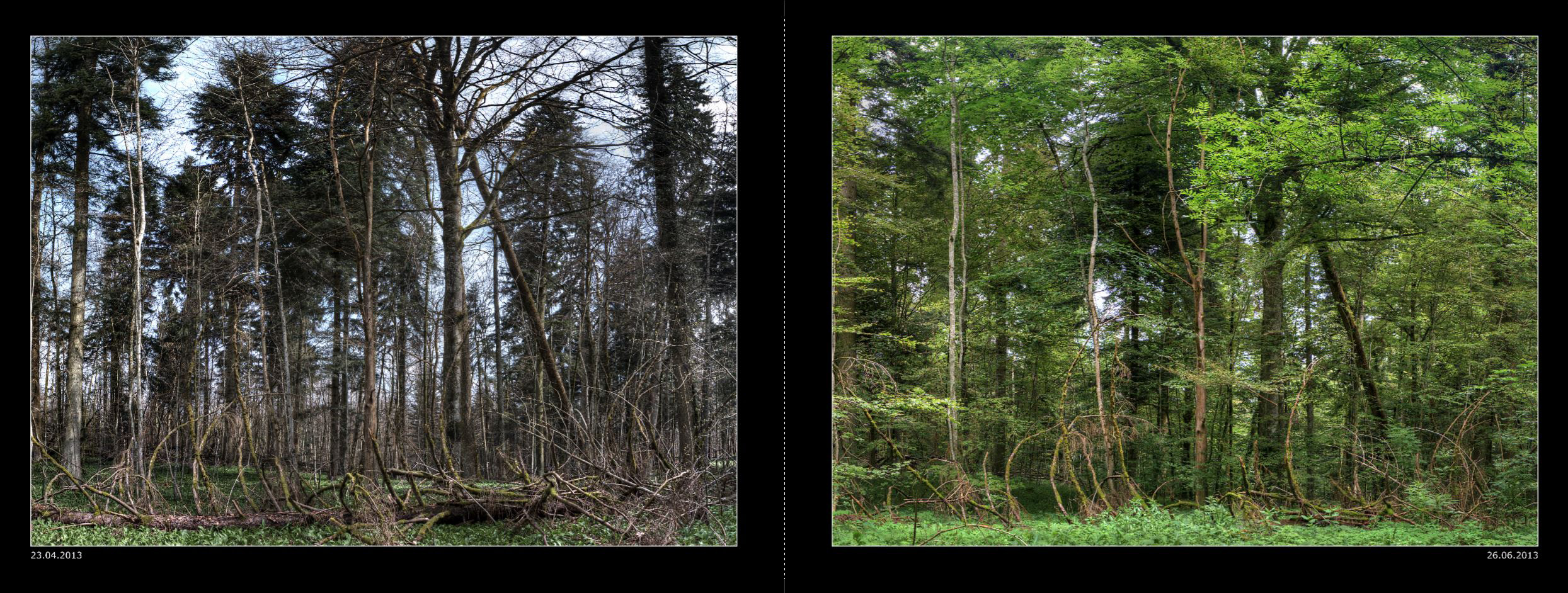 015_Seiten_28_29