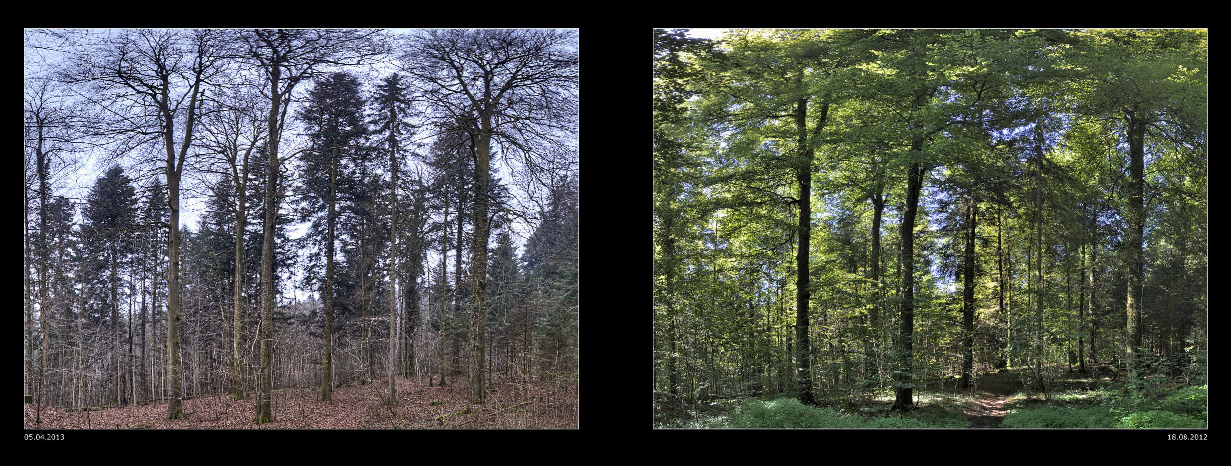 018_Seiten_34_35