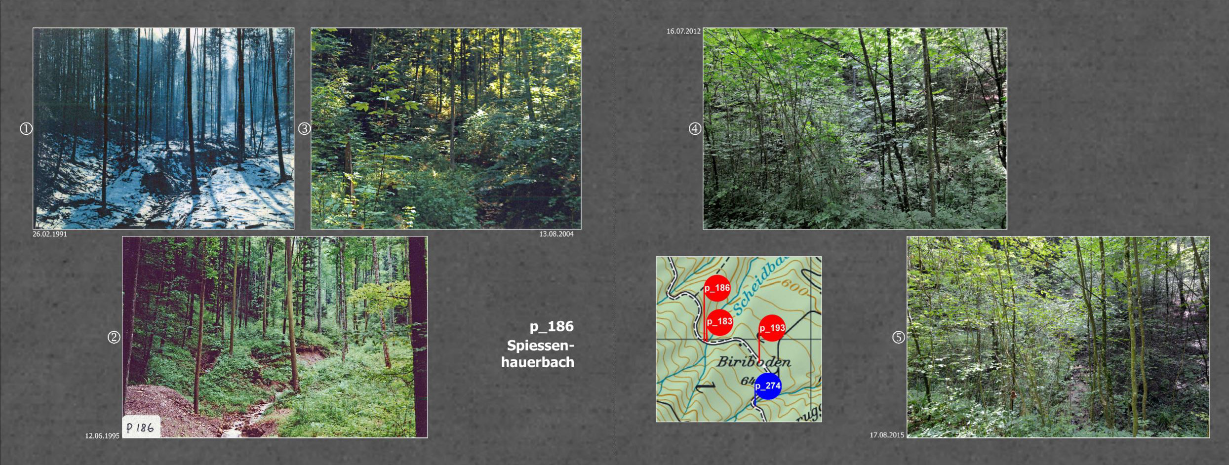 020_Seite_38_39