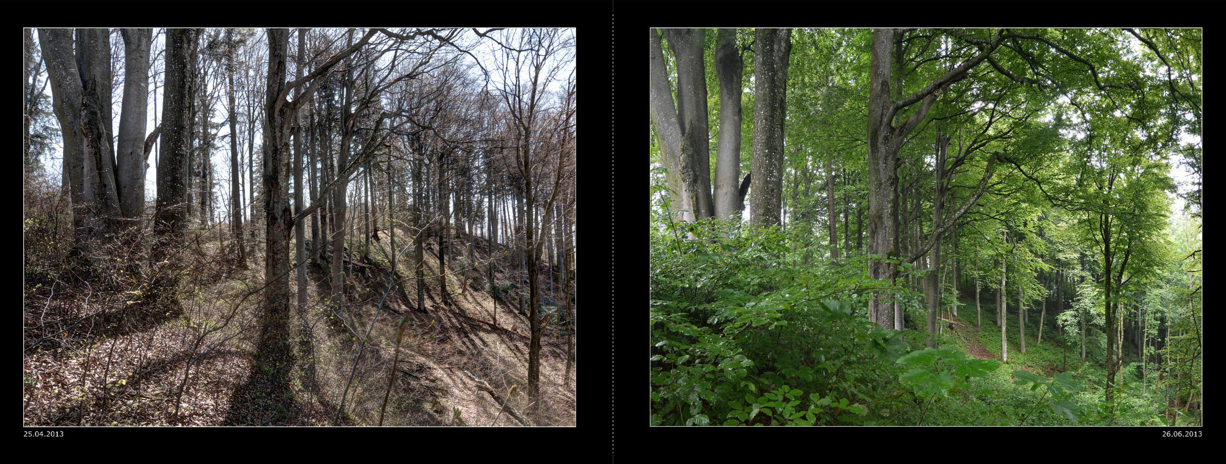 021_Seiten_40_41