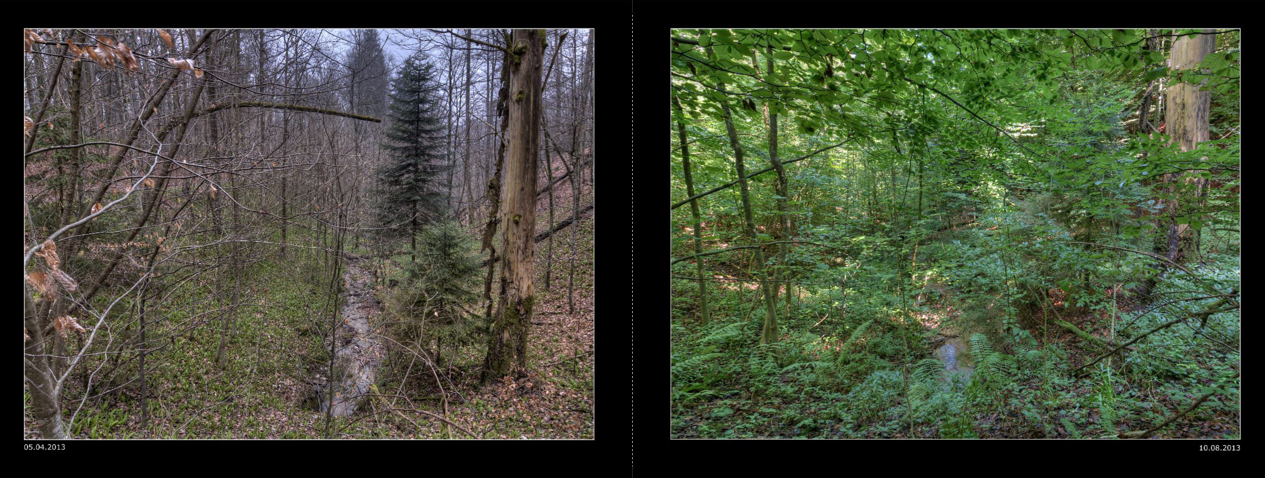 024_Seiten_46_47