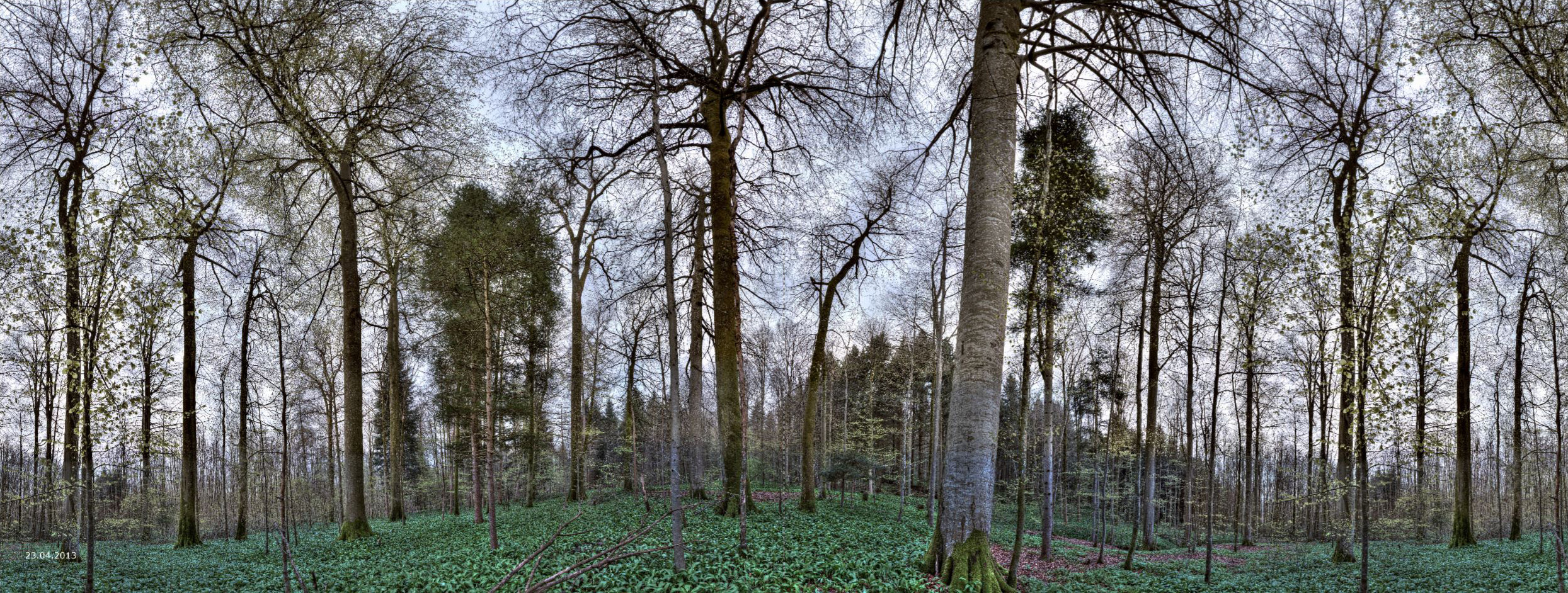 032_Seiten_62_63