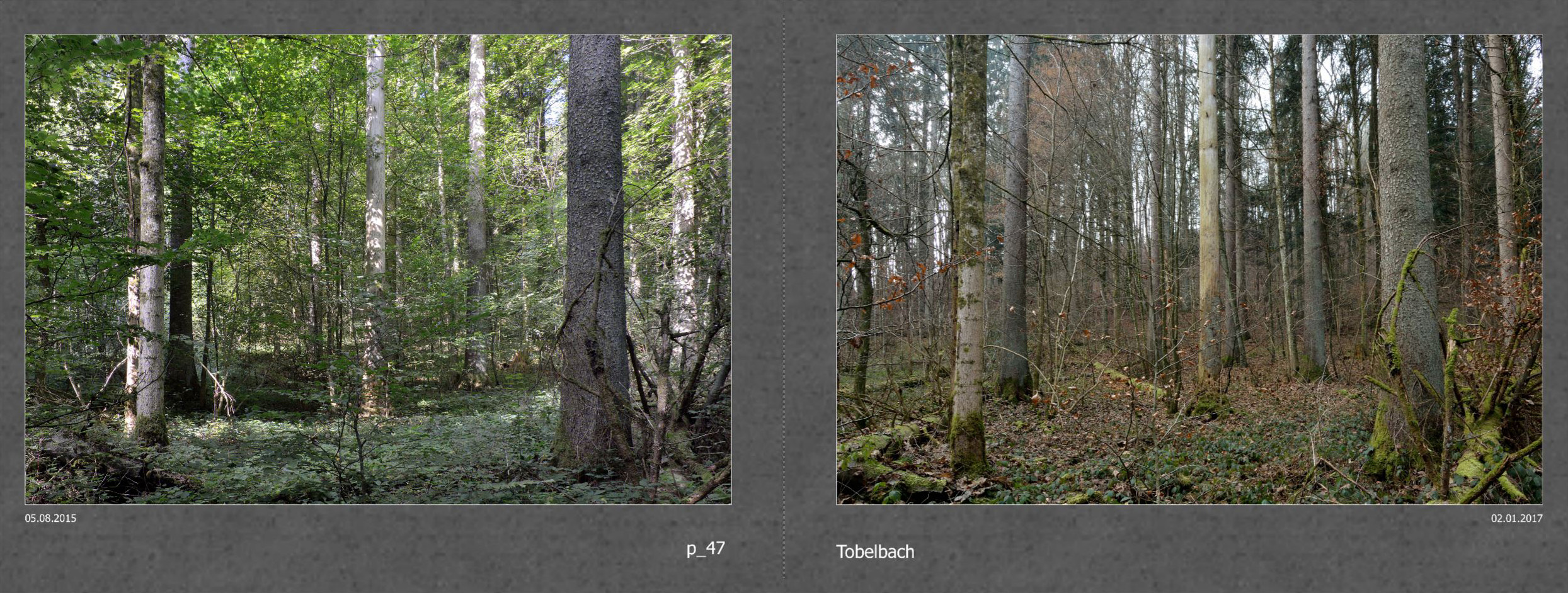 2017_008_Seiten_14_15