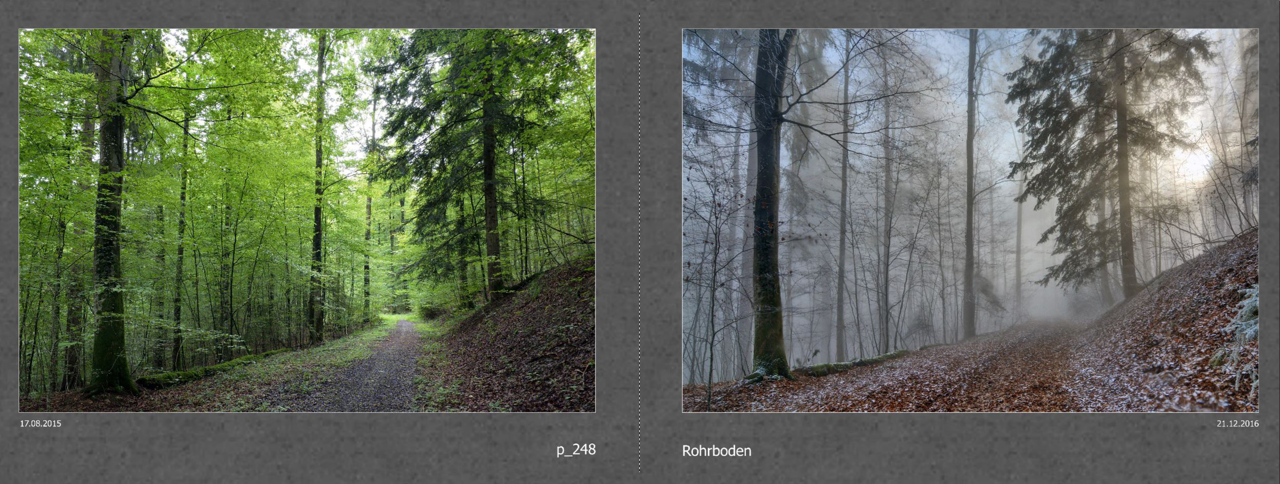 2017_014_Seiten_26_27