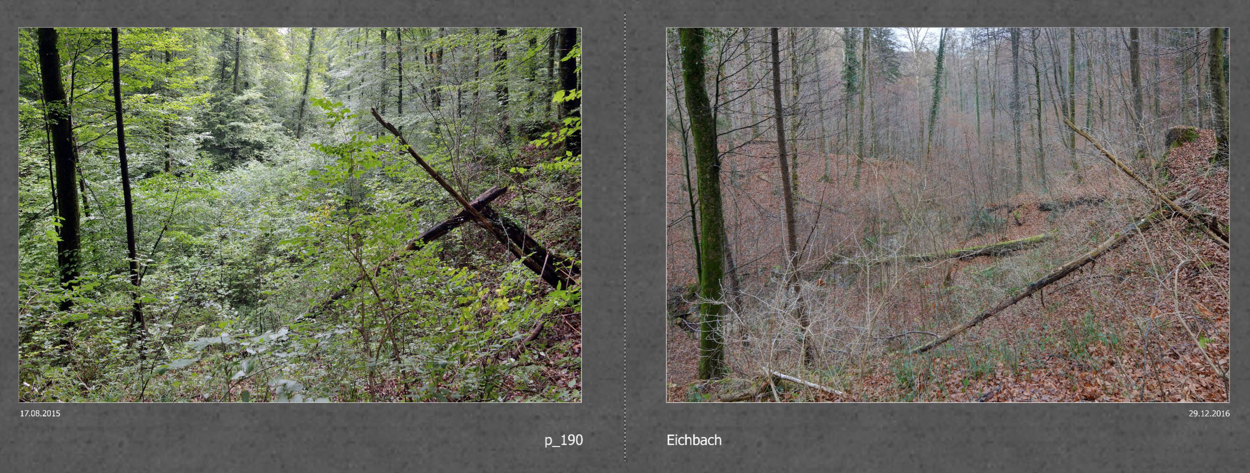 2017_016_Seiten_30_31