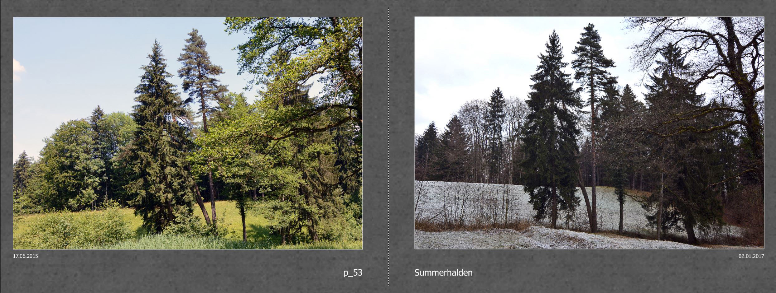 2017_017_Seiten_32_33