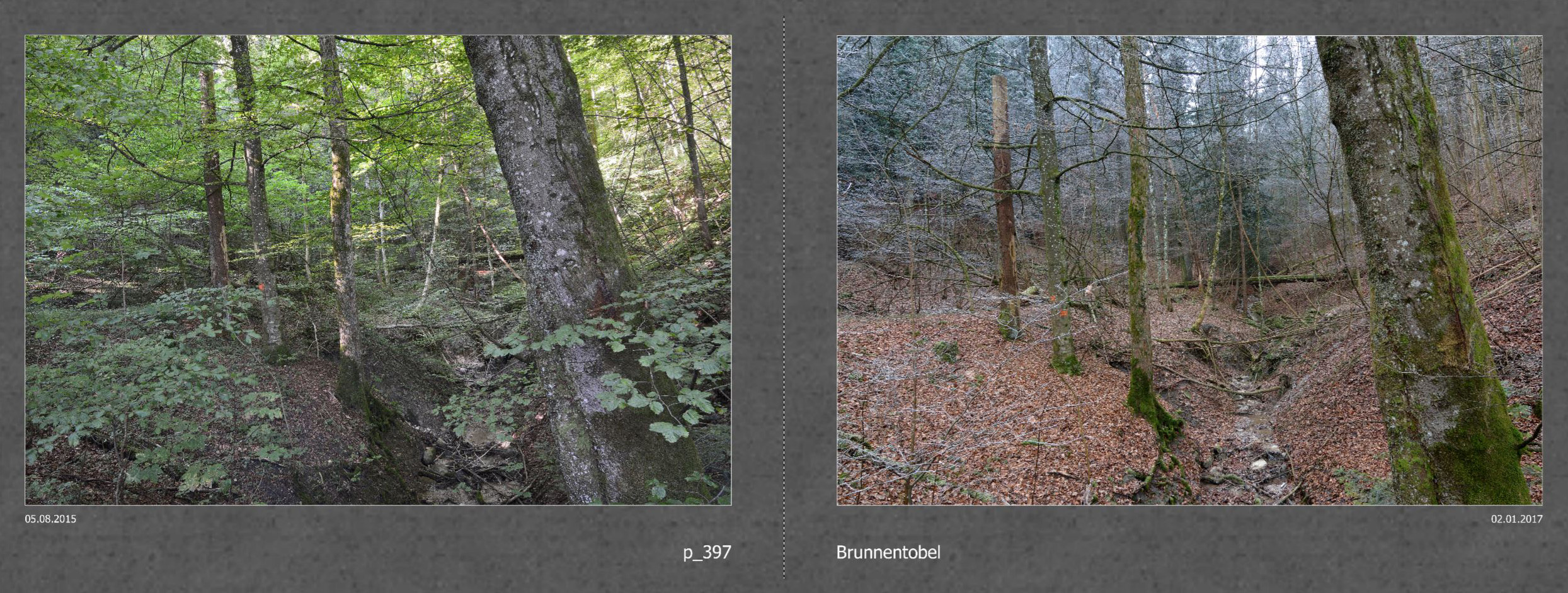2017_024_Seiten_46_47