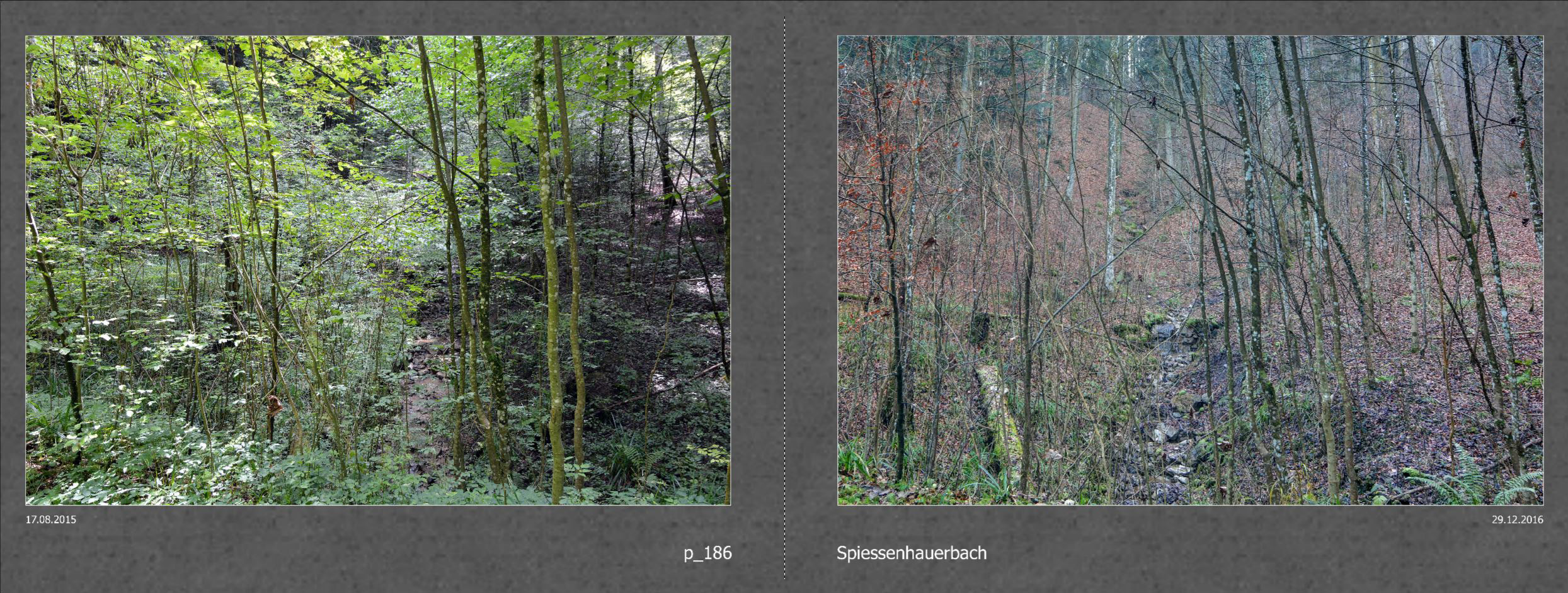 2017_030_Seiten_58_59
