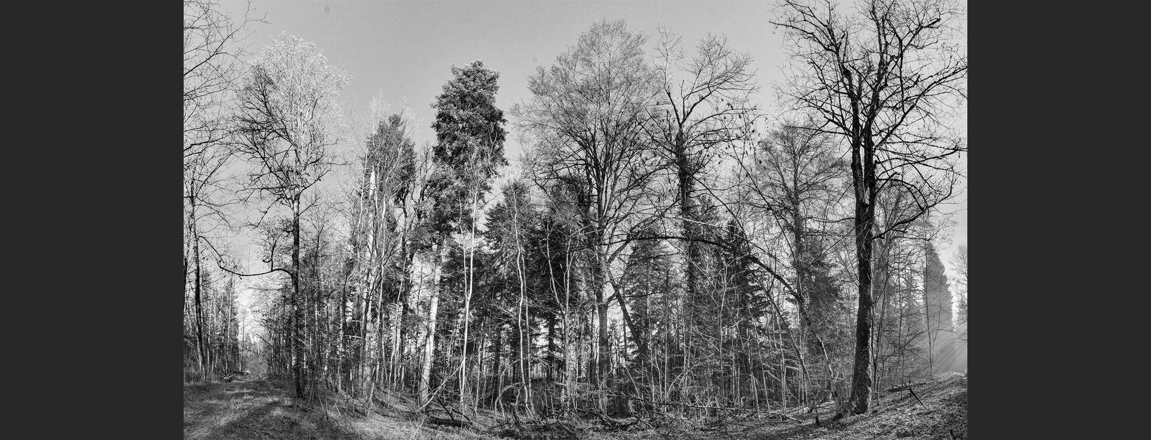 Img_03_3_Waldmatt_Winter