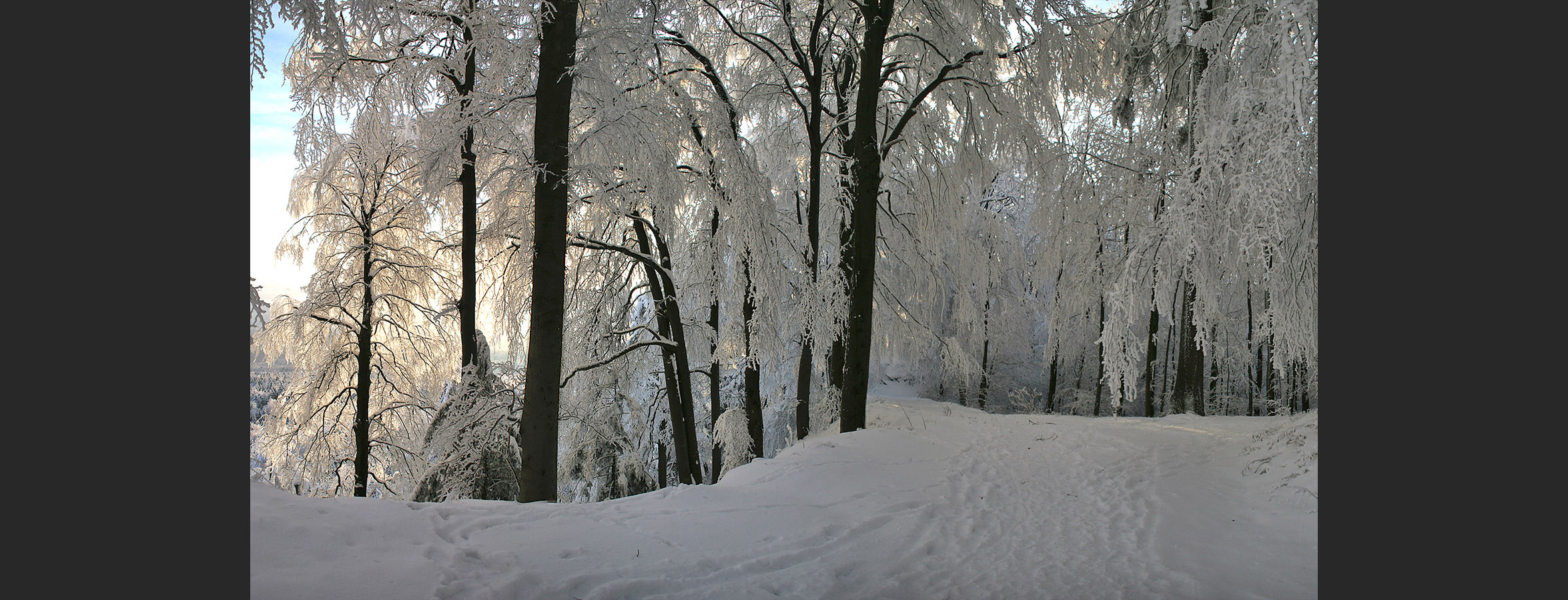 Img_05_3_Aalbisgrat_Winter