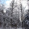 IMG_4763
