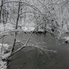 041220_P1010069