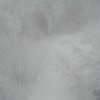 011114NebelHochwqacht