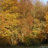 031104VisAvisNaturzentrum