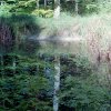 Spiegelung