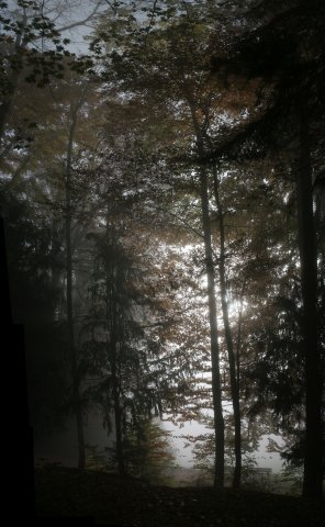 08_051031_Pano03_Gegenlicht_Nebel_Gekruemmt