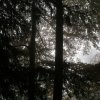 08_051031_Pano01_GegenlichNebel