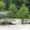 020812InselInDerSihl