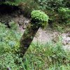020826_Eichbach_P8260098