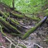 020826_Eichbach_P8260107