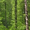 03HochBearbeitet
