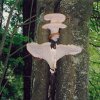 94SihlwaldPilz