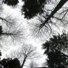 030113InDenHimmel