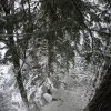 040127Eibe04