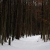 060303_IMG_4346