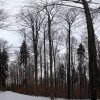 060303_pano