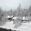 060306_IMG_4614