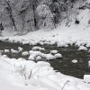 060306_IMG_4636
