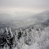 9495SihlwaldWinter