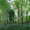 130525_Roosvelt