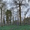 130423_Roosvelt_verkleinert