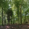 130810_Roosvelt_Mercator_Var2