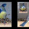 06_Voegel