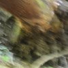Wurzel_05