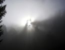 021112stimmungherbst