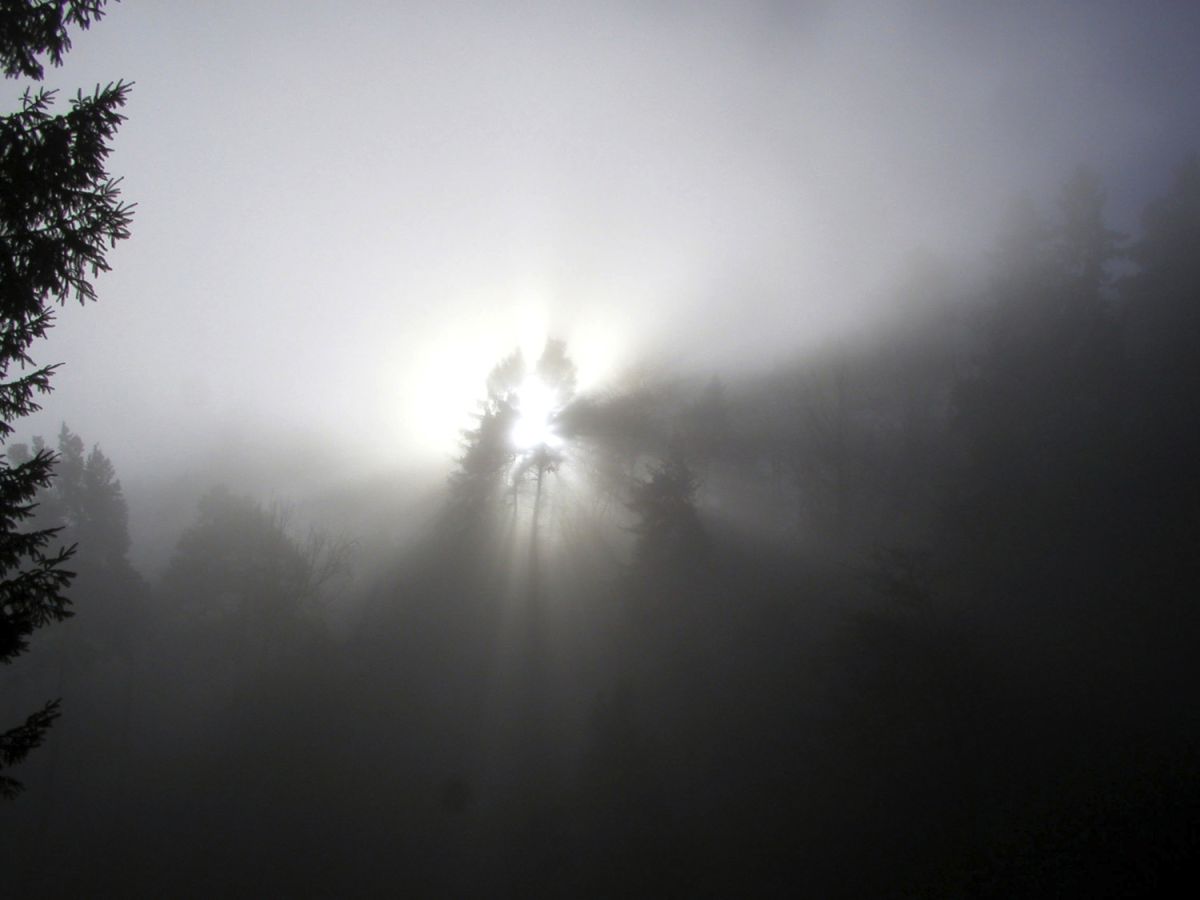 021112stimmungherbst