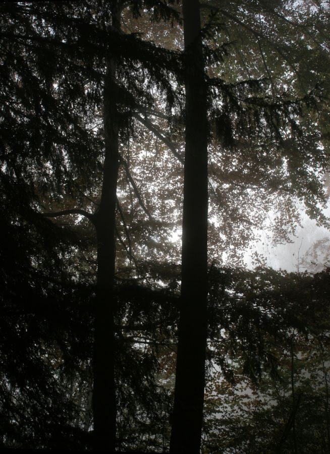 08 pano01 gegenlichnebel
