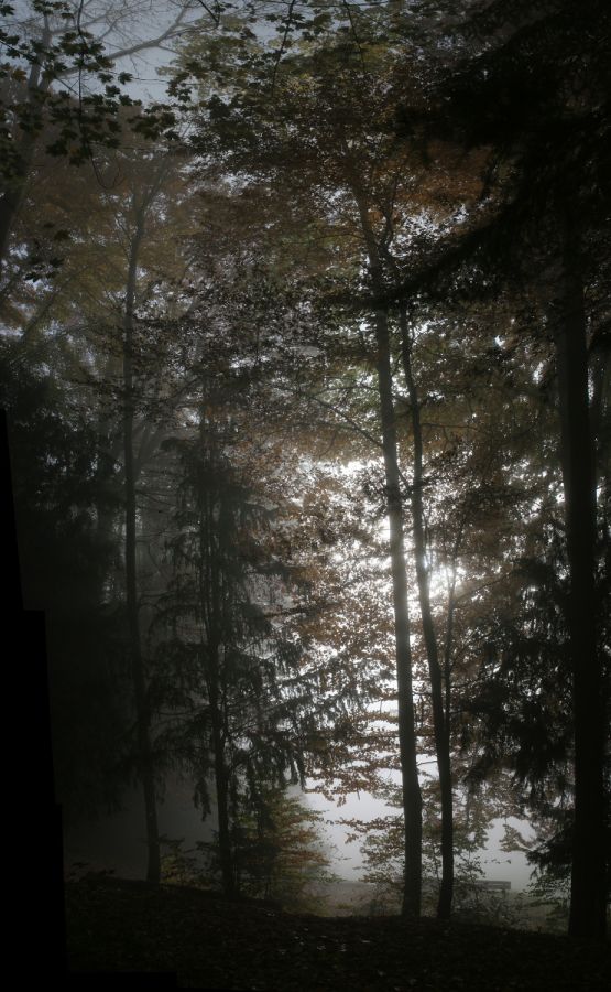 08 pano03 gegenlicht nebel gekruemmt
