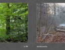 2017 010 seiten 18
