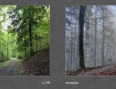 2017 014 seiten 26