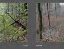 2017 016 seiten 30