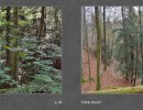 2017 018 seiten 34