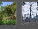 2017 019 seiten 36