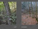 2017 024 seiten 46